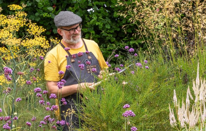 Dan Cooper Garden at the Elham Virtual Christmas Market
